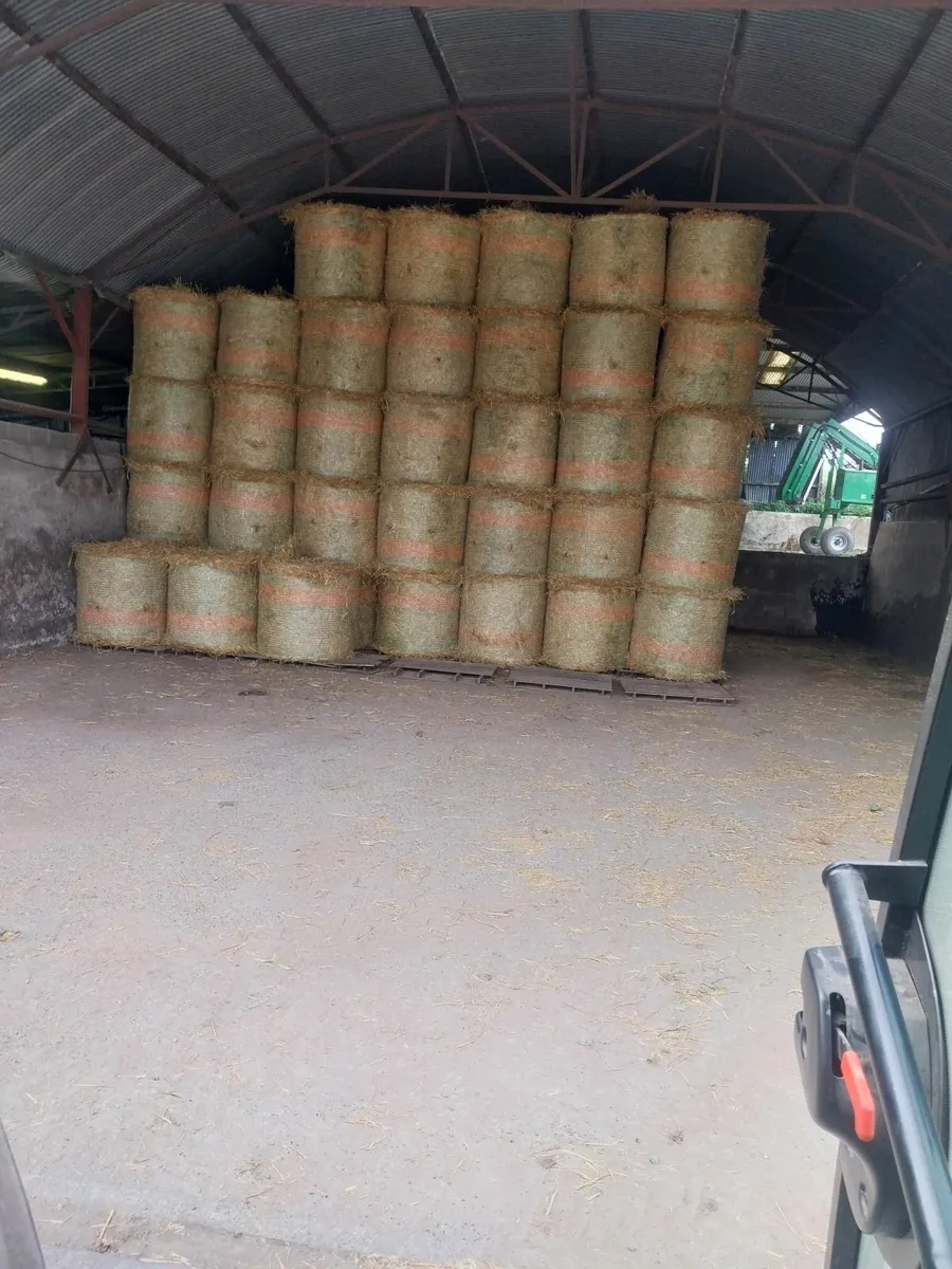 Silage,Straw,Hay,Beet - Image 1