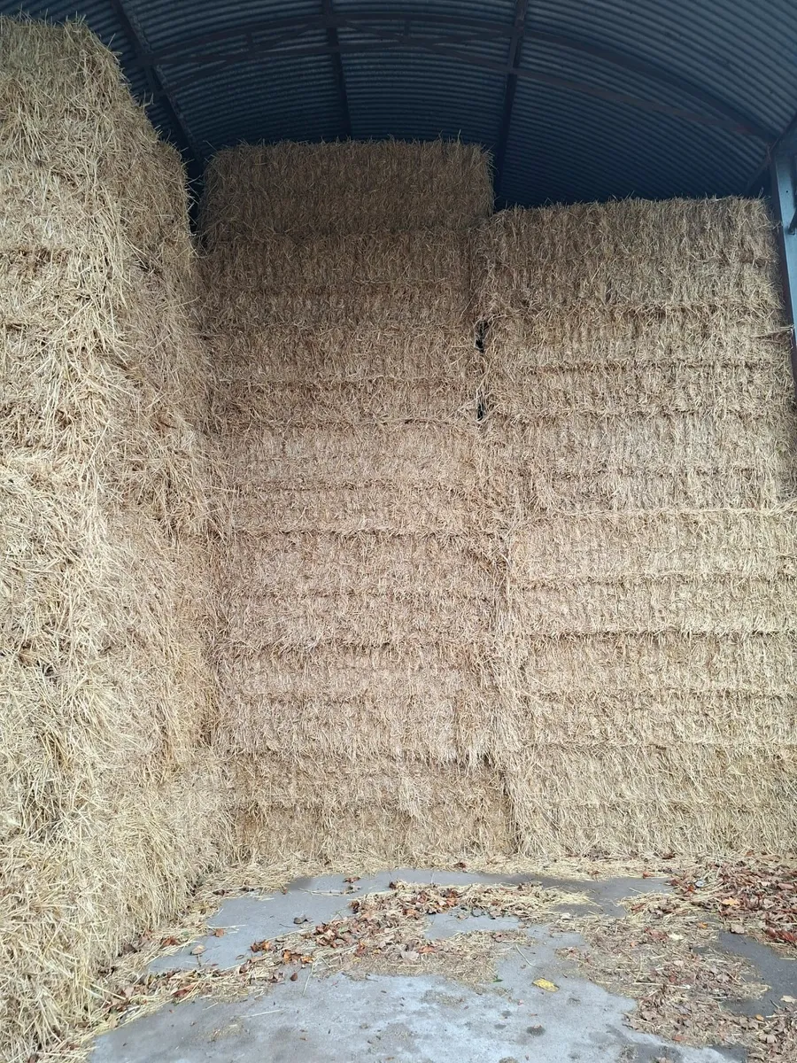 Silage,Straw,Hay,Beet - Image 2