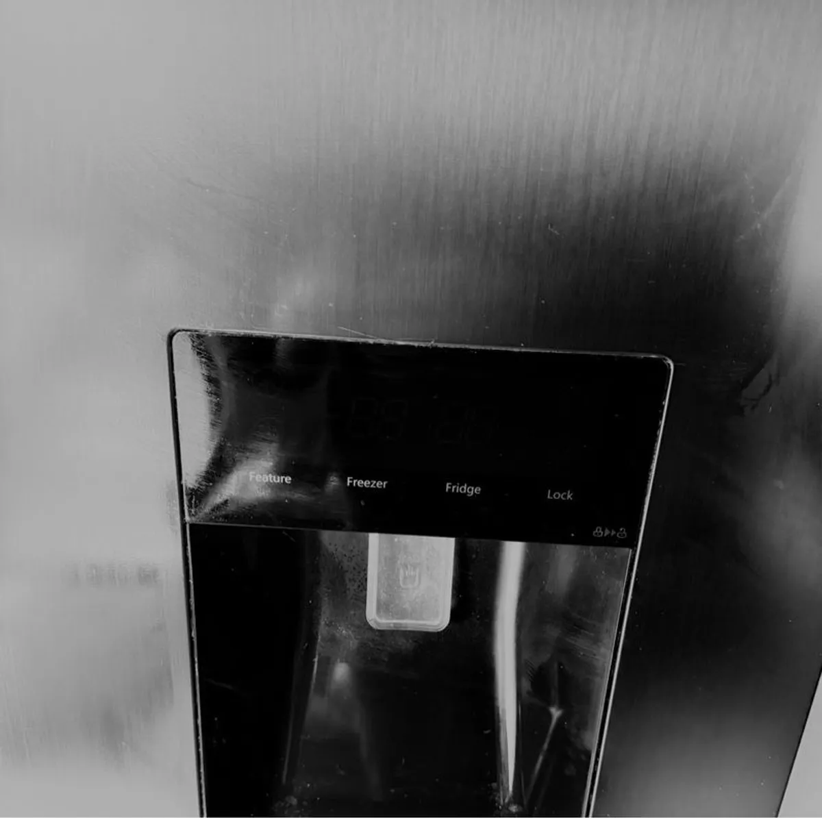 American fridge freezer - Image 3