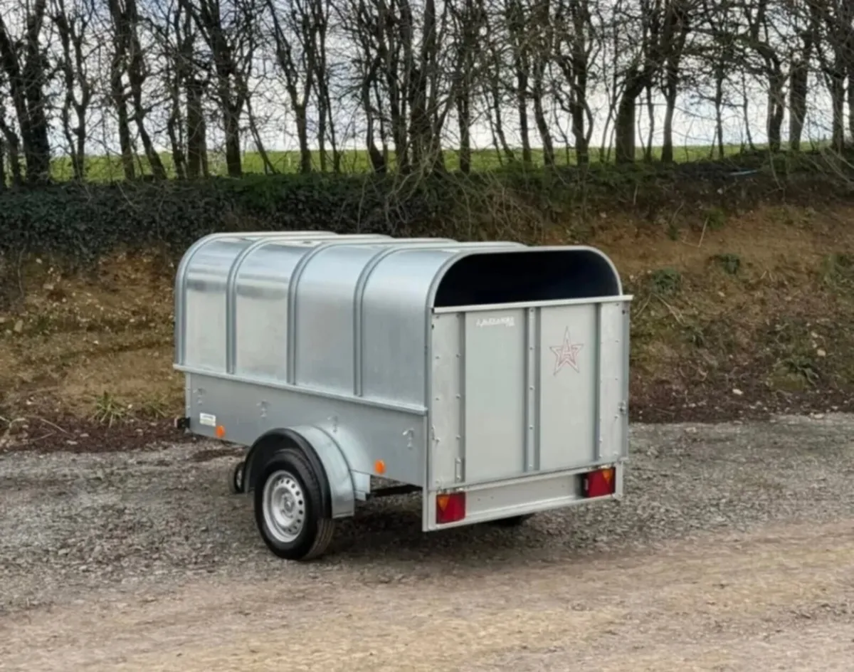 YOUNGSTOCK TRAILER 7x4 NEW A STAR - Image 4