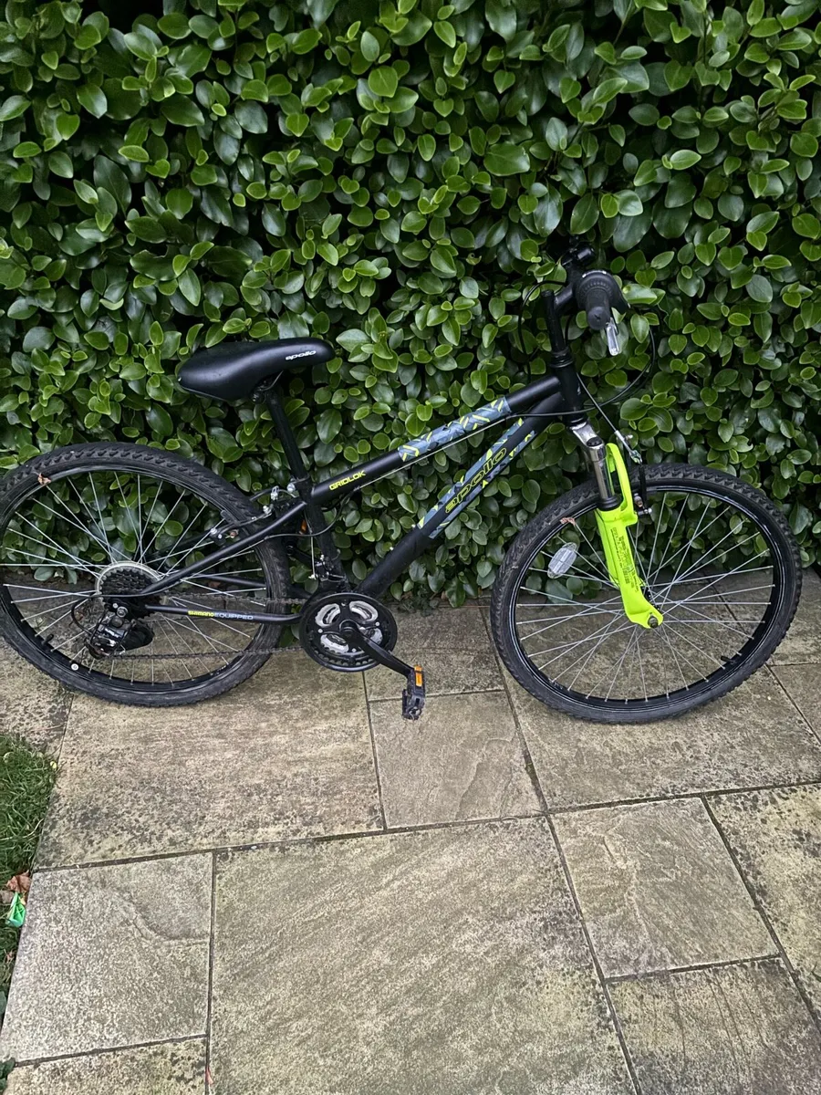 Bicycle - Image 1
