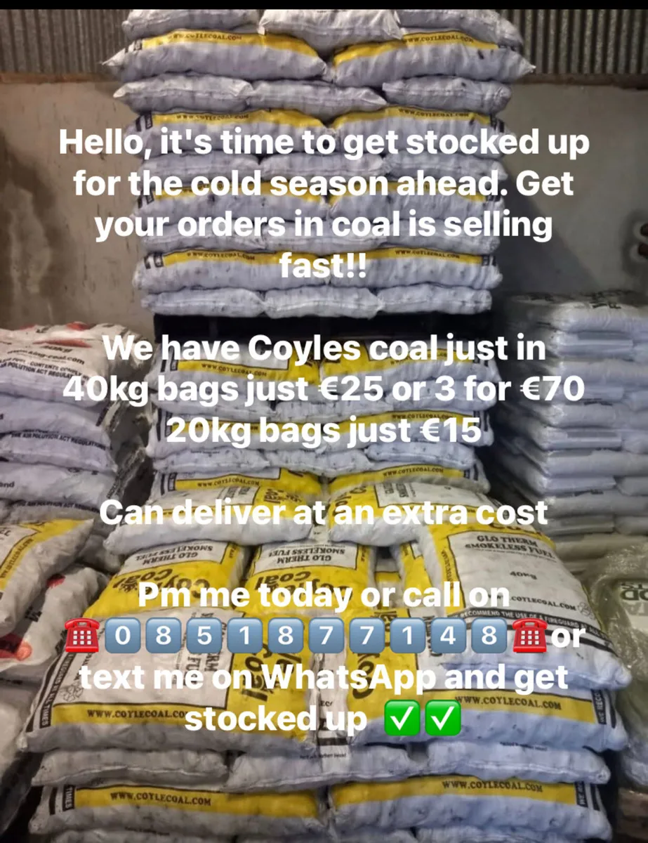 Coal - Image 2