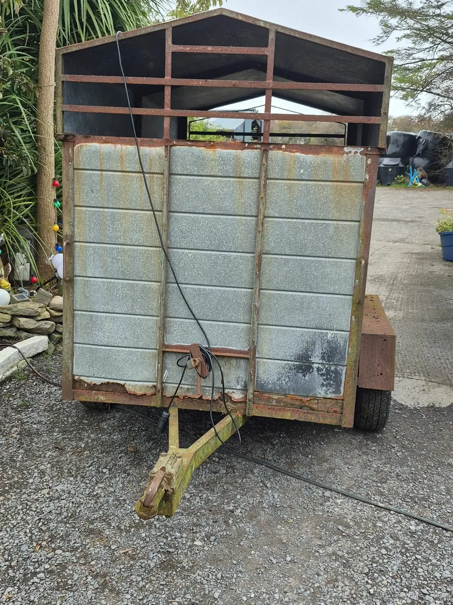 Cow box Trailer - Image 1
