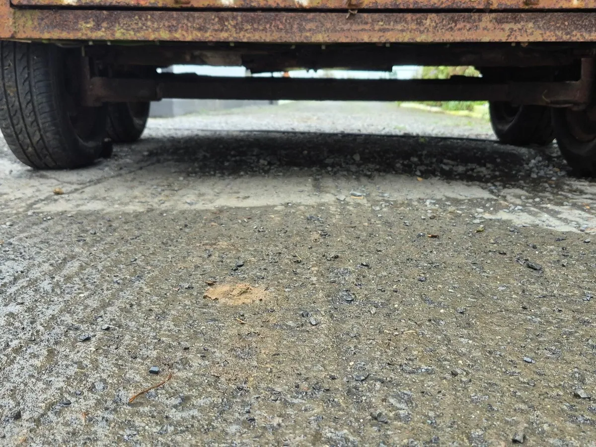 Cow box Trailer - Image 4