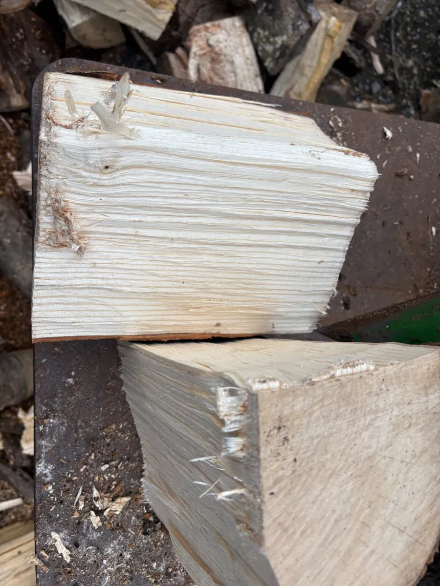 Hard wood Firewood for sale - Image 1