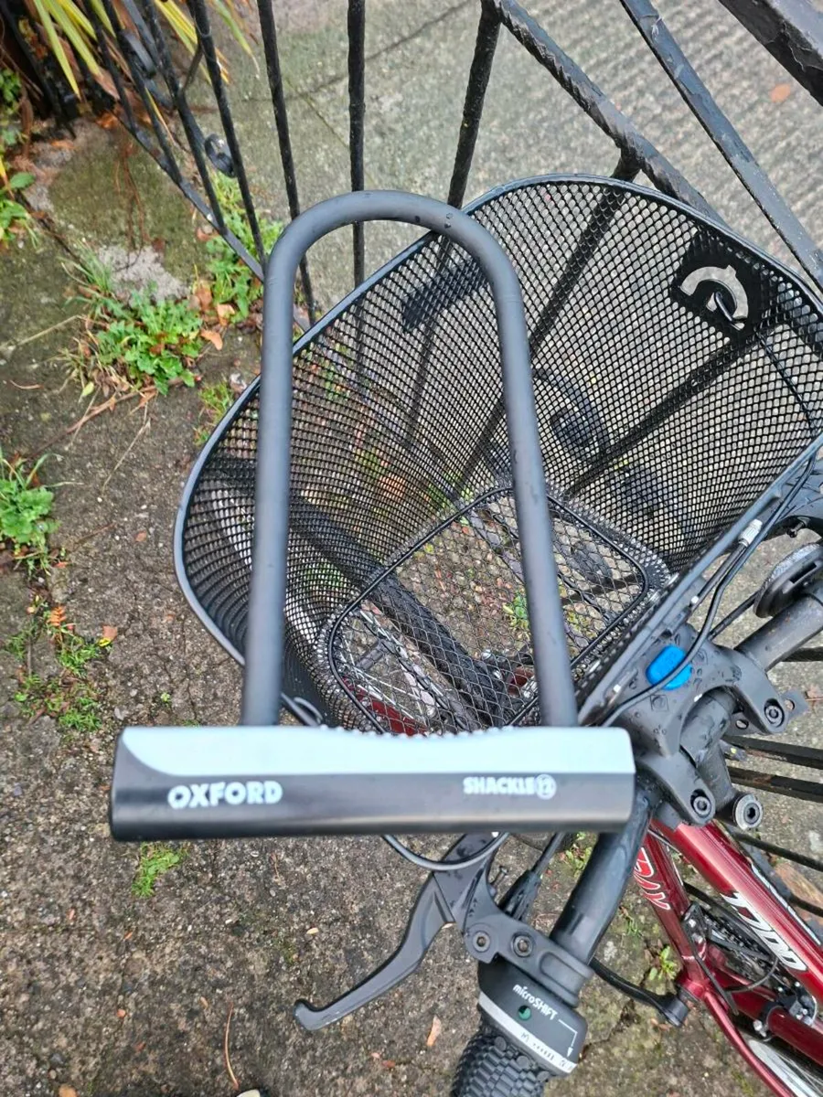 Full Equipped Bicycle - Image 2