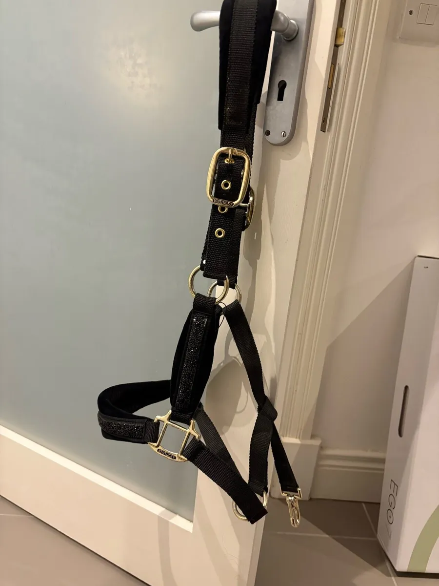 Kentucky headcollar