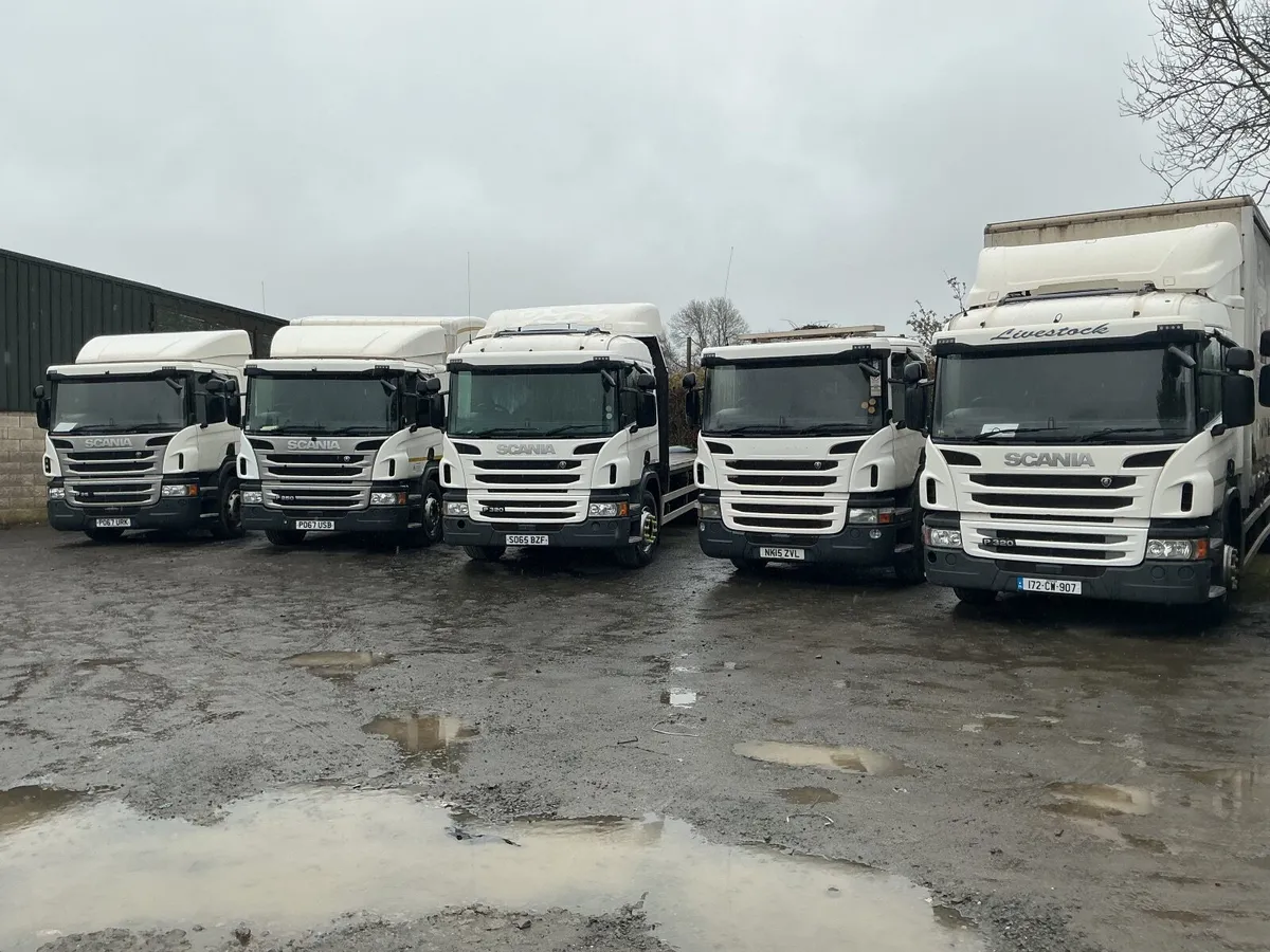 Scania p250 - Image 3