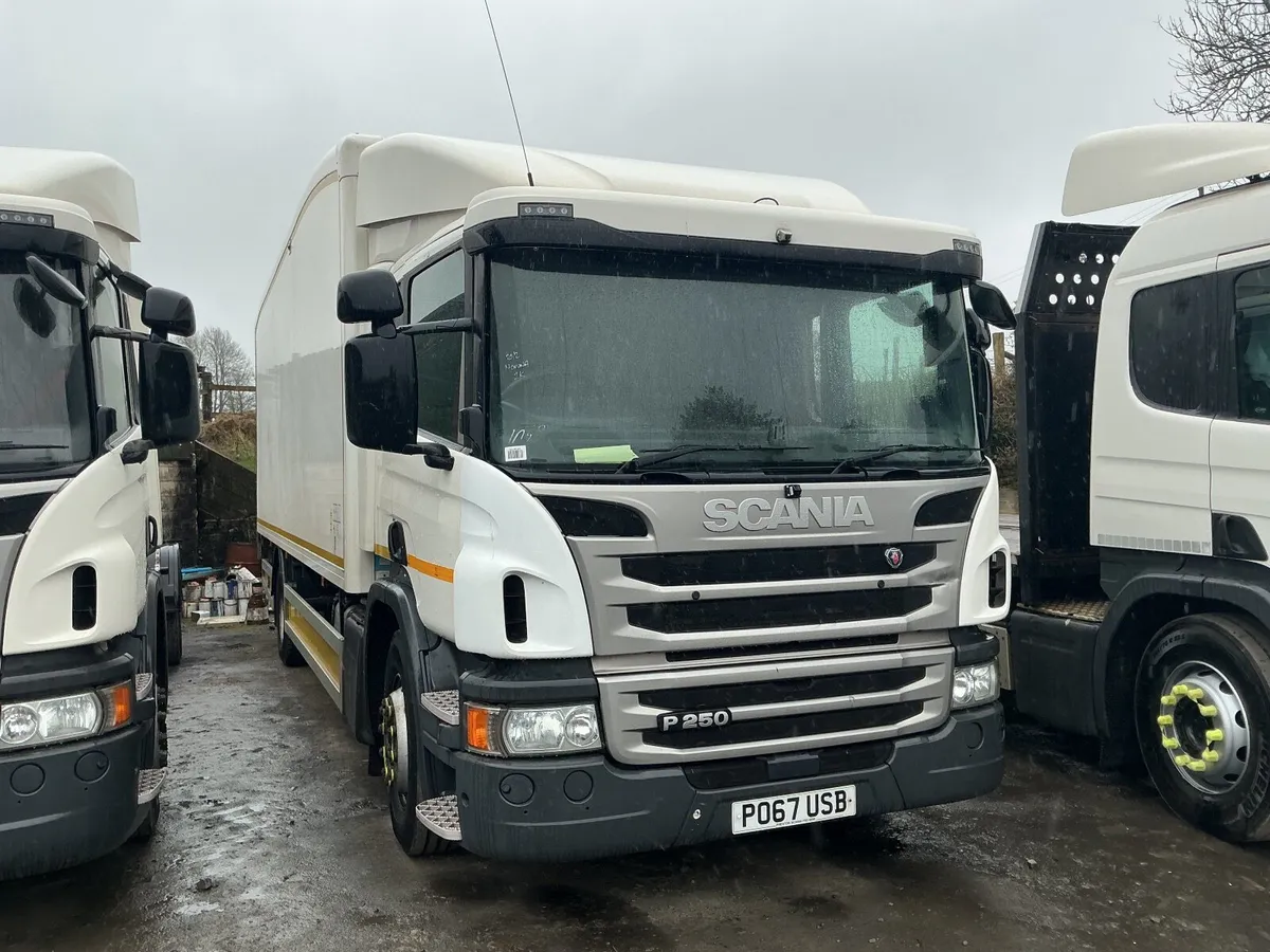 Scania p250 - Image 4