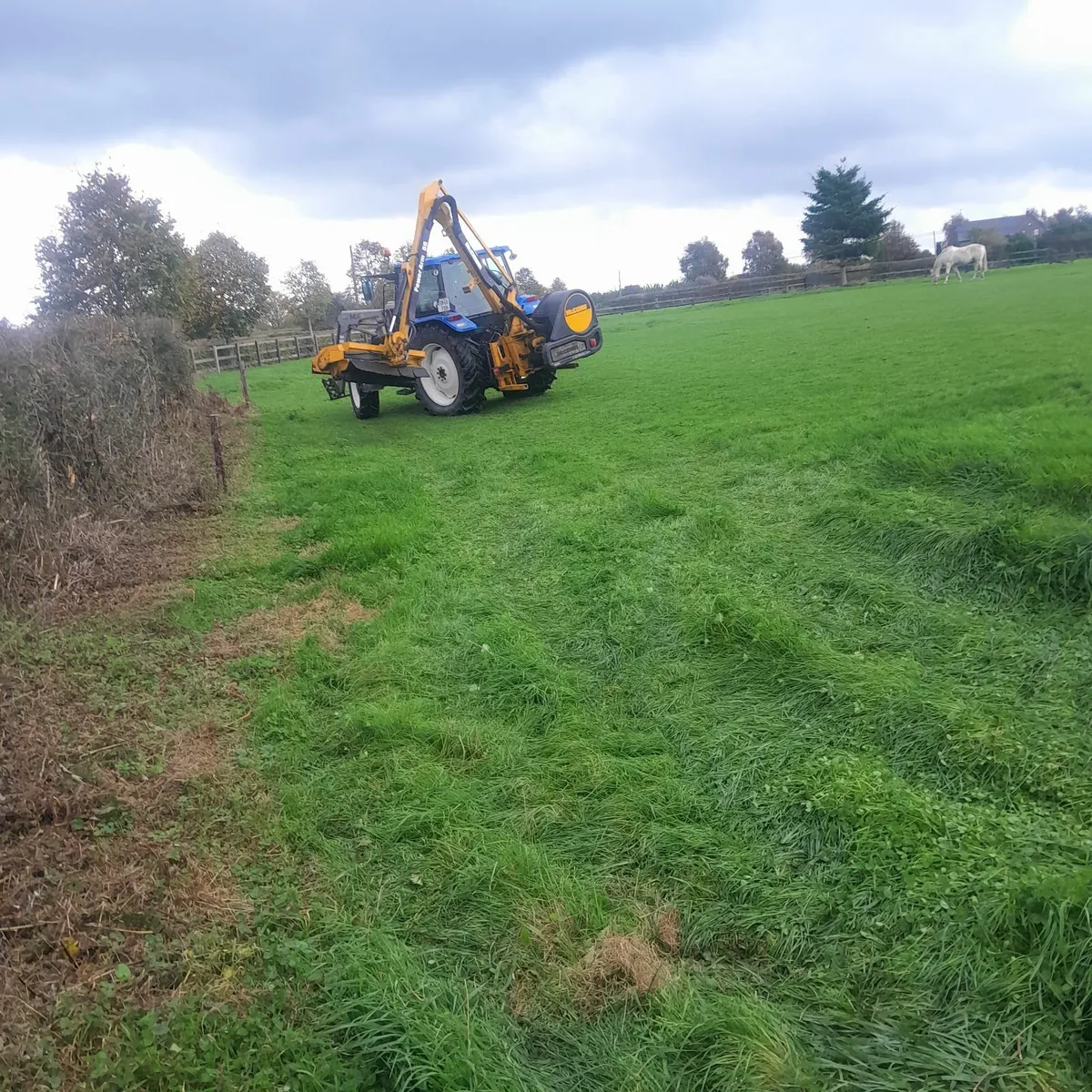 Hedgecutting Services for hire - Image 2