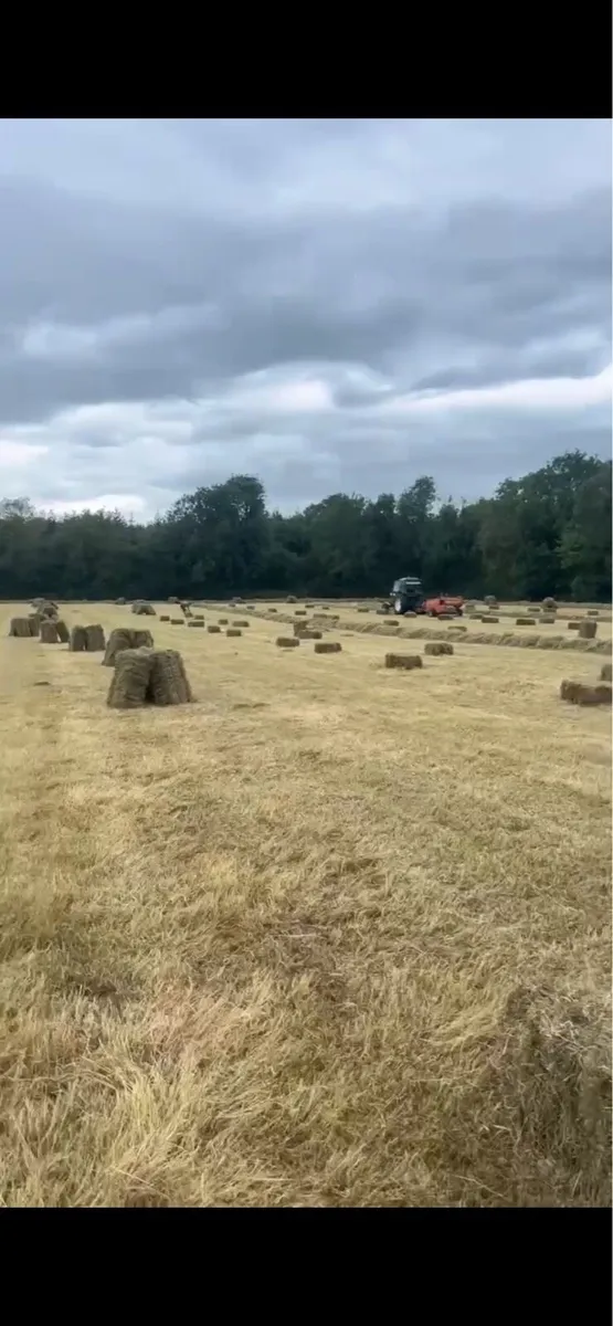 Hay square bales