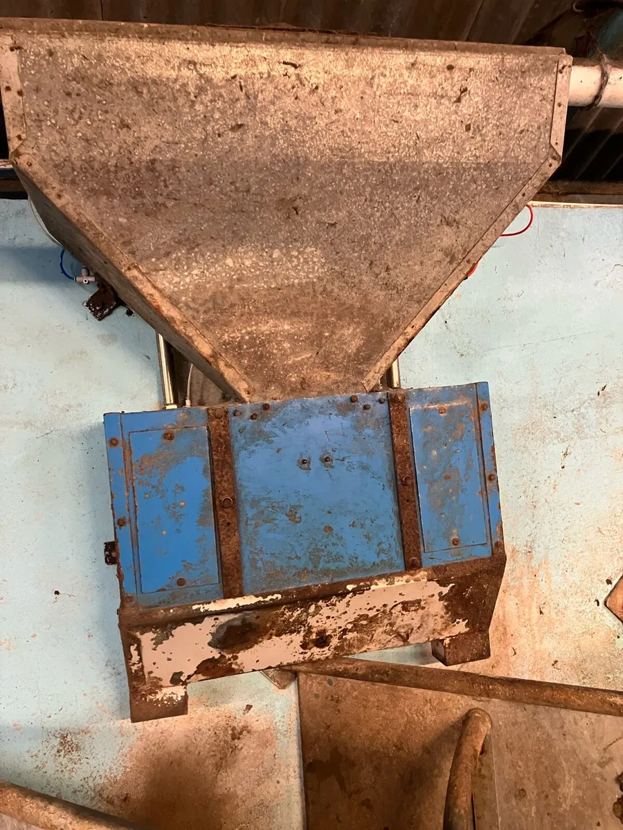 Cashmen feeders - Image 1