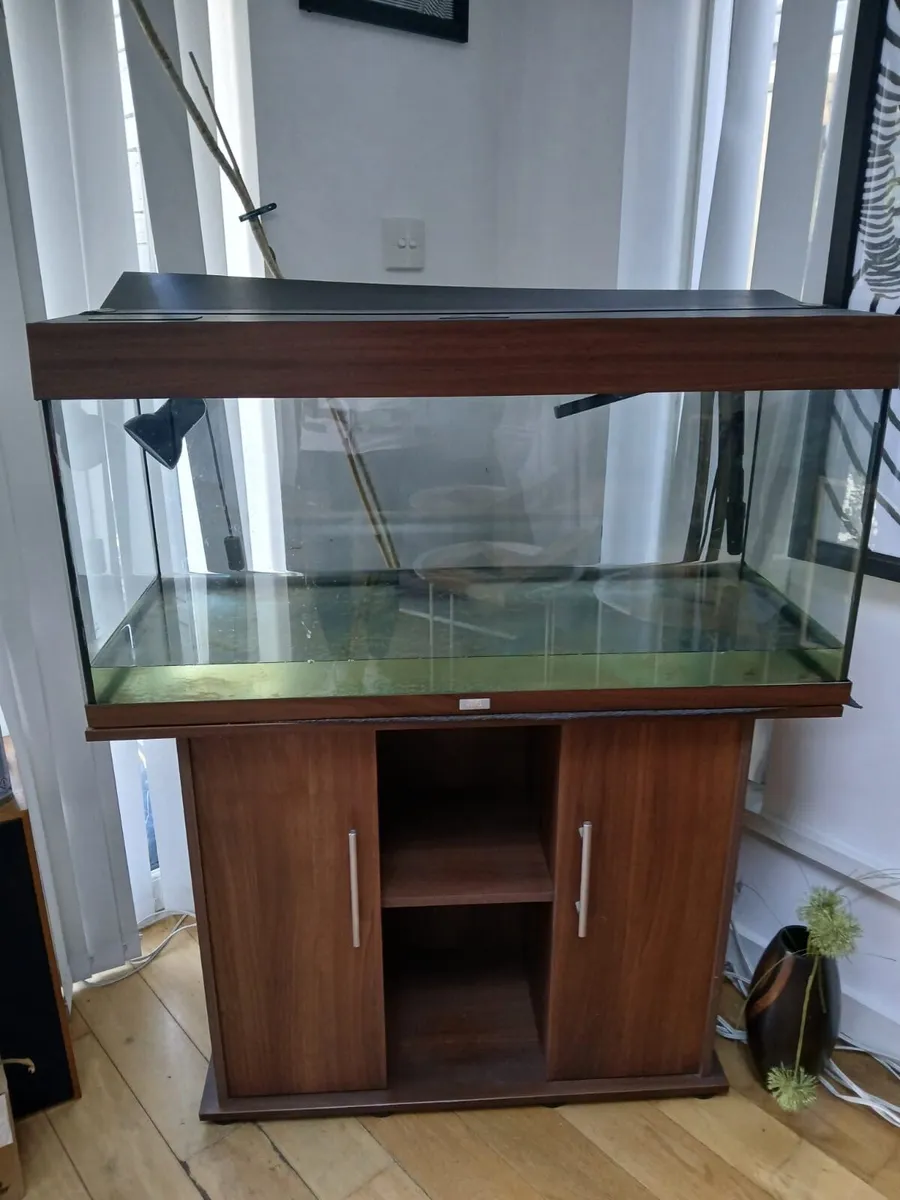 Large Juwel fish tank - Image 1