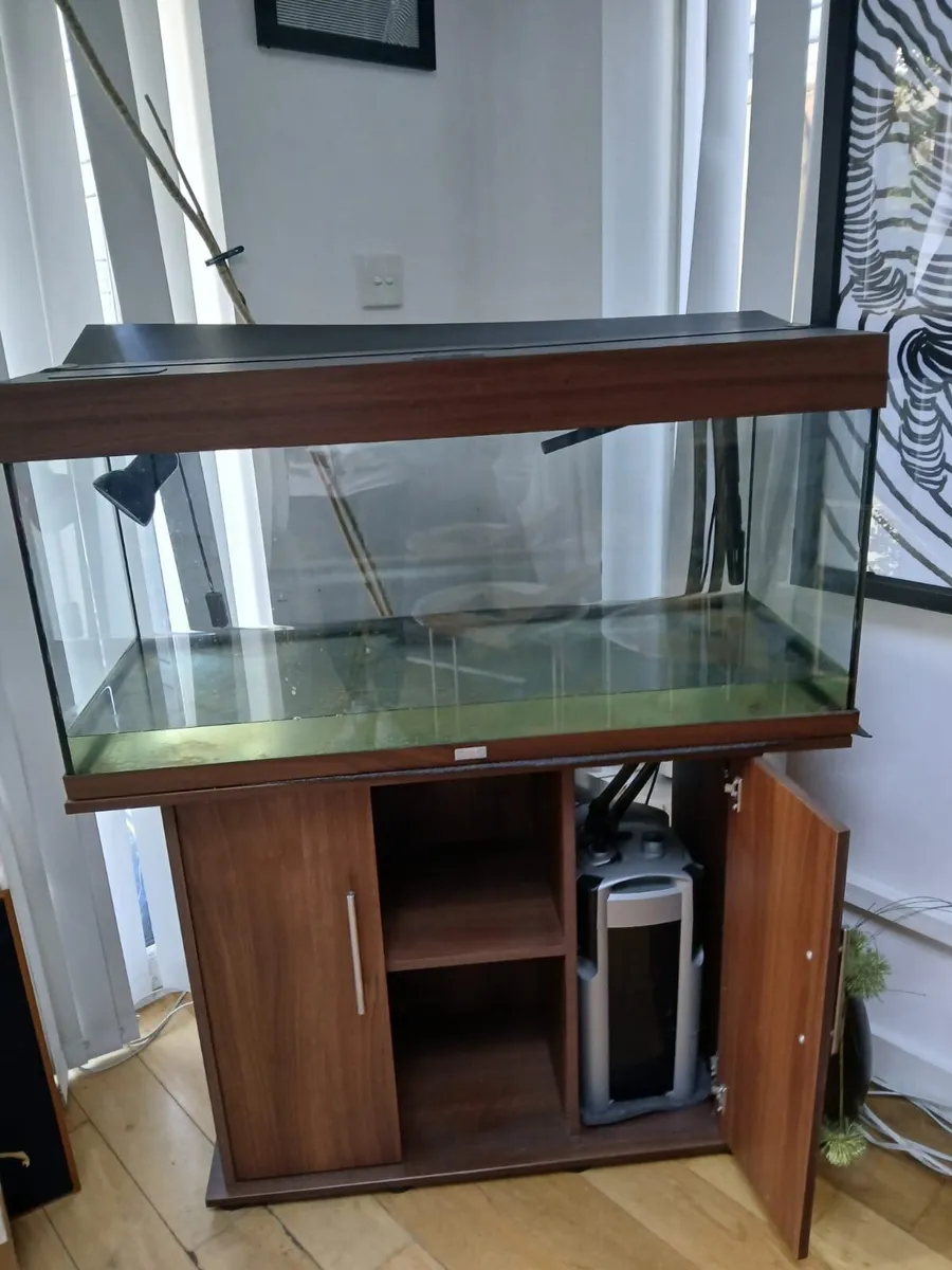 Large Juwel fish tank - Image 2