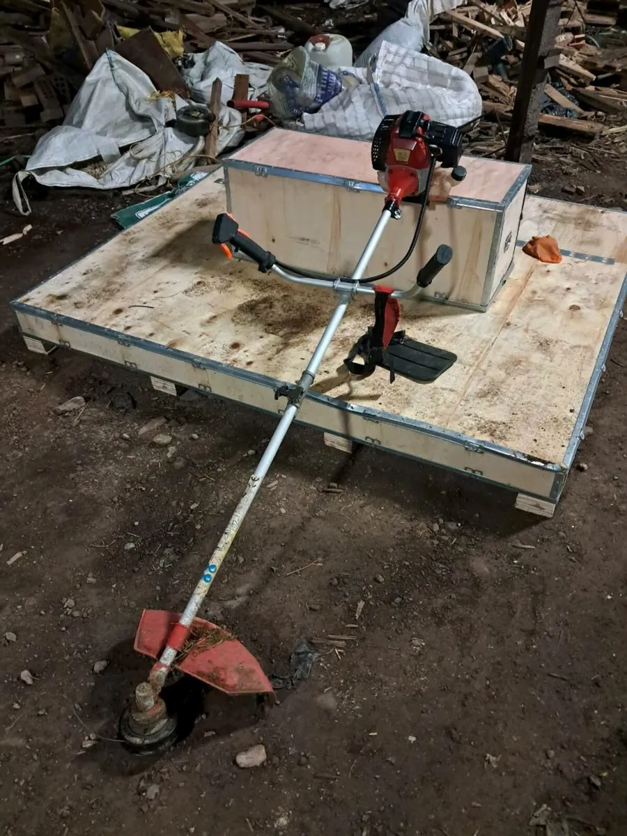 Strimmer - Image 1
