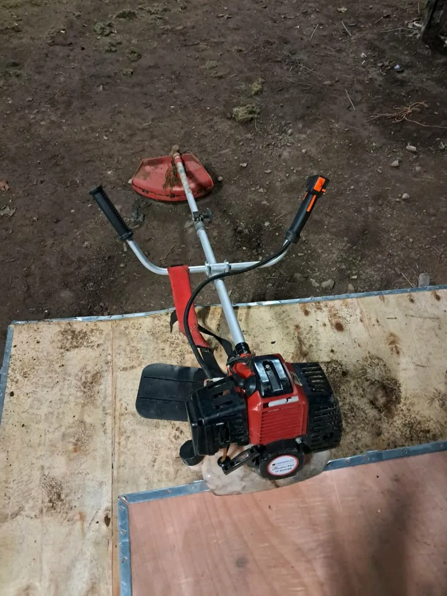 Strimmer - Image 2