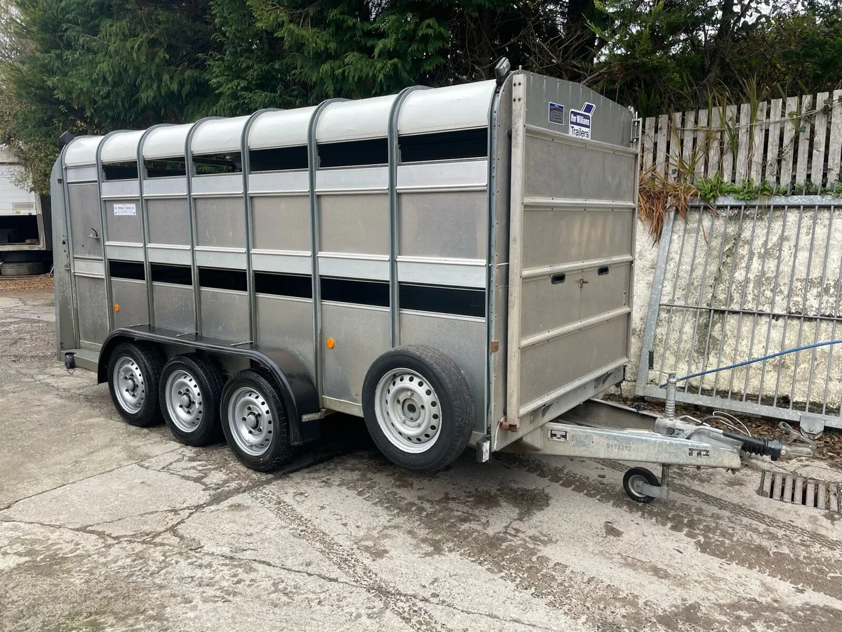 Ifor Williams livestock trailer - Image 1