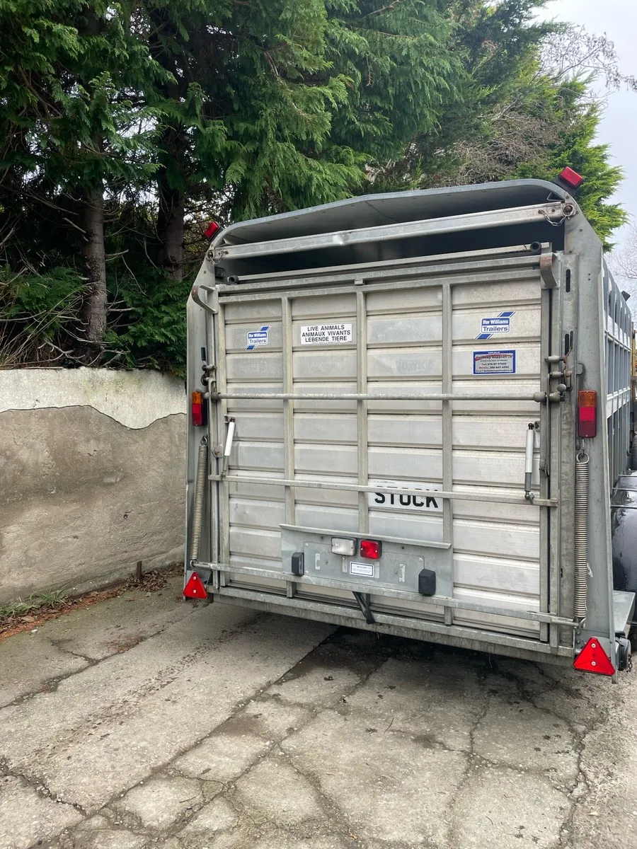 Ifor Williams livestock trailer - Image 2