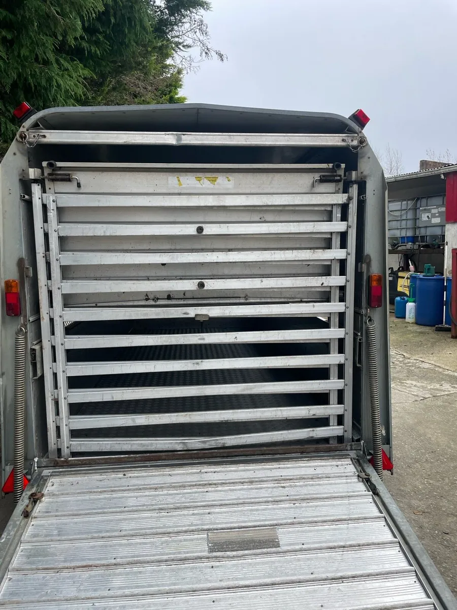 Ifor Williams livestock trailer - Image 3