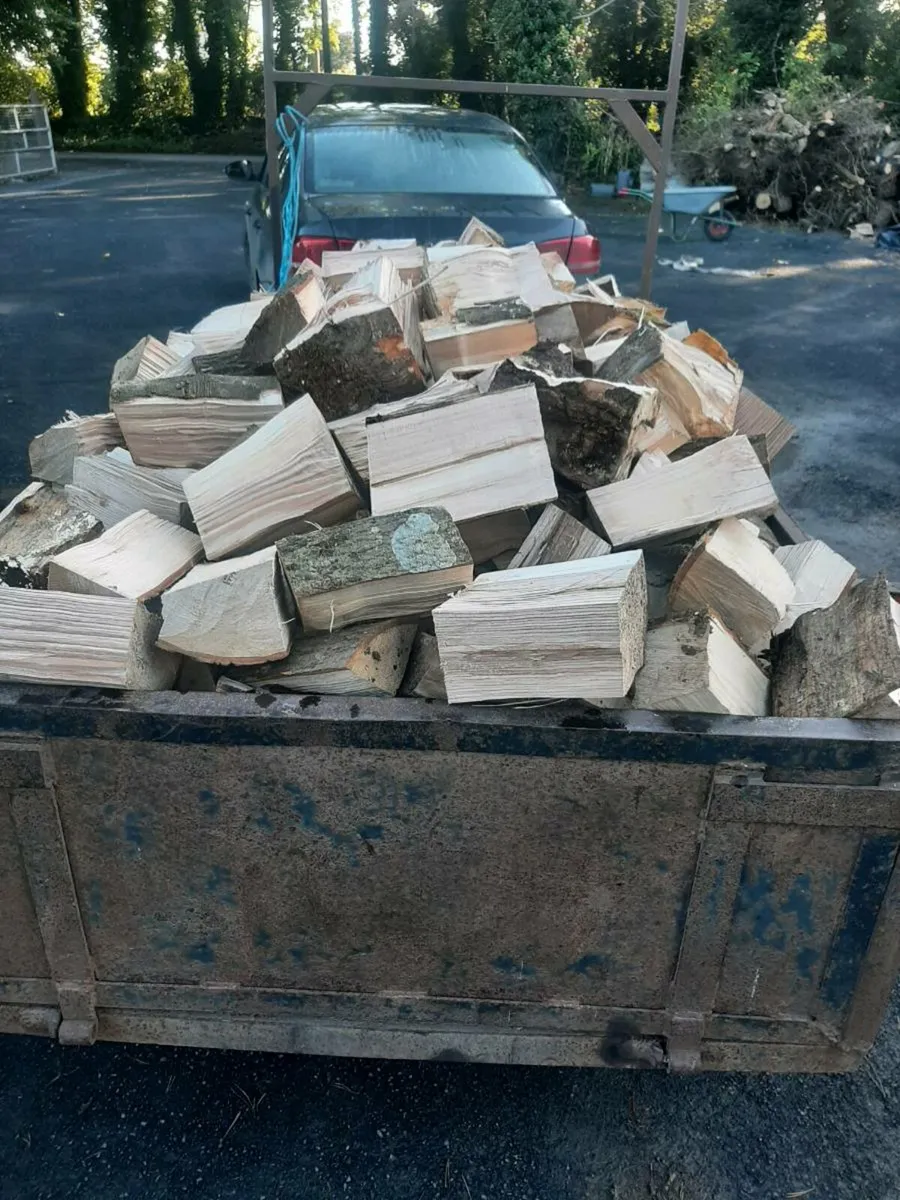 Firewood - Image 1