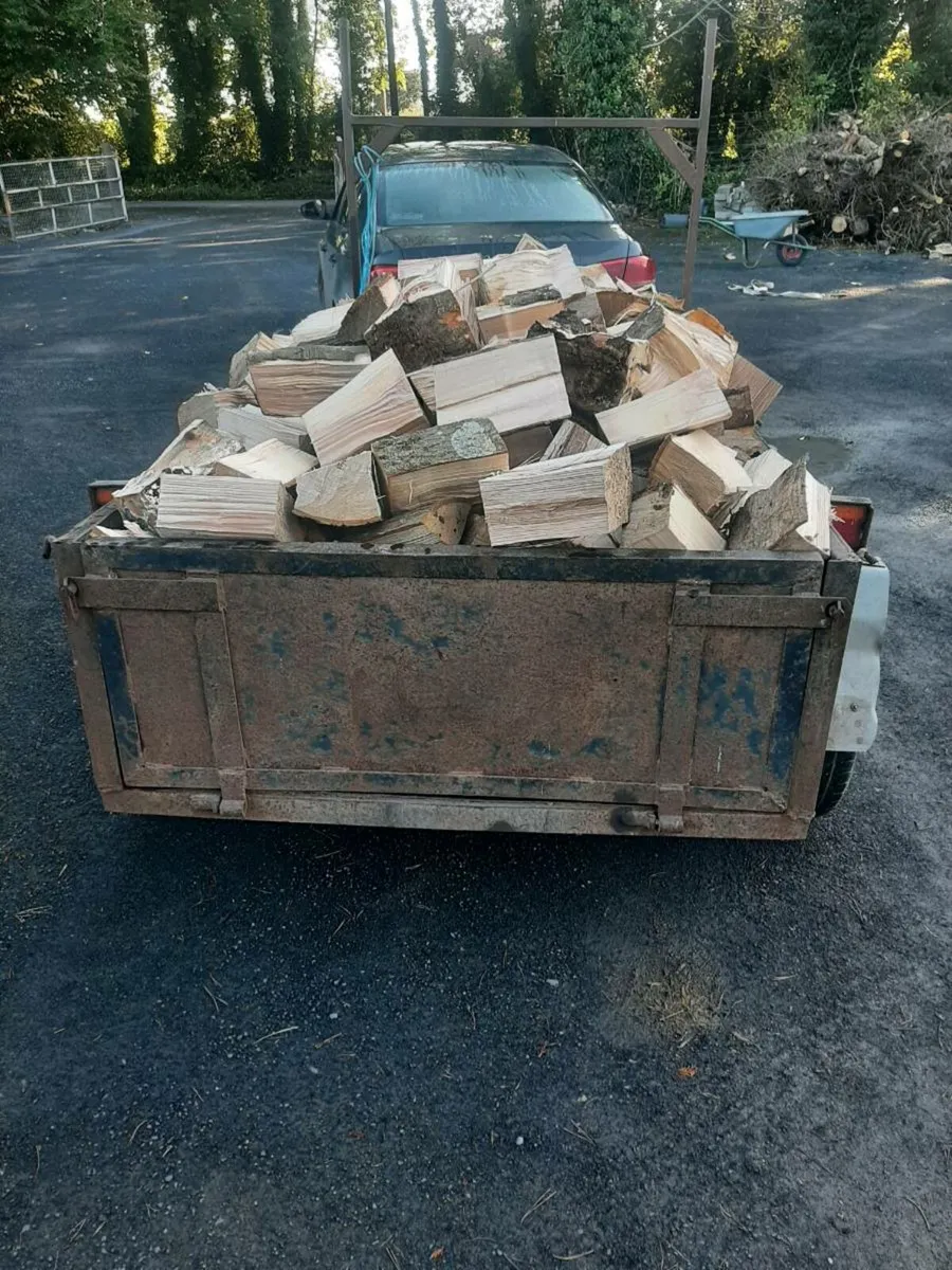 Firewood - Image 2