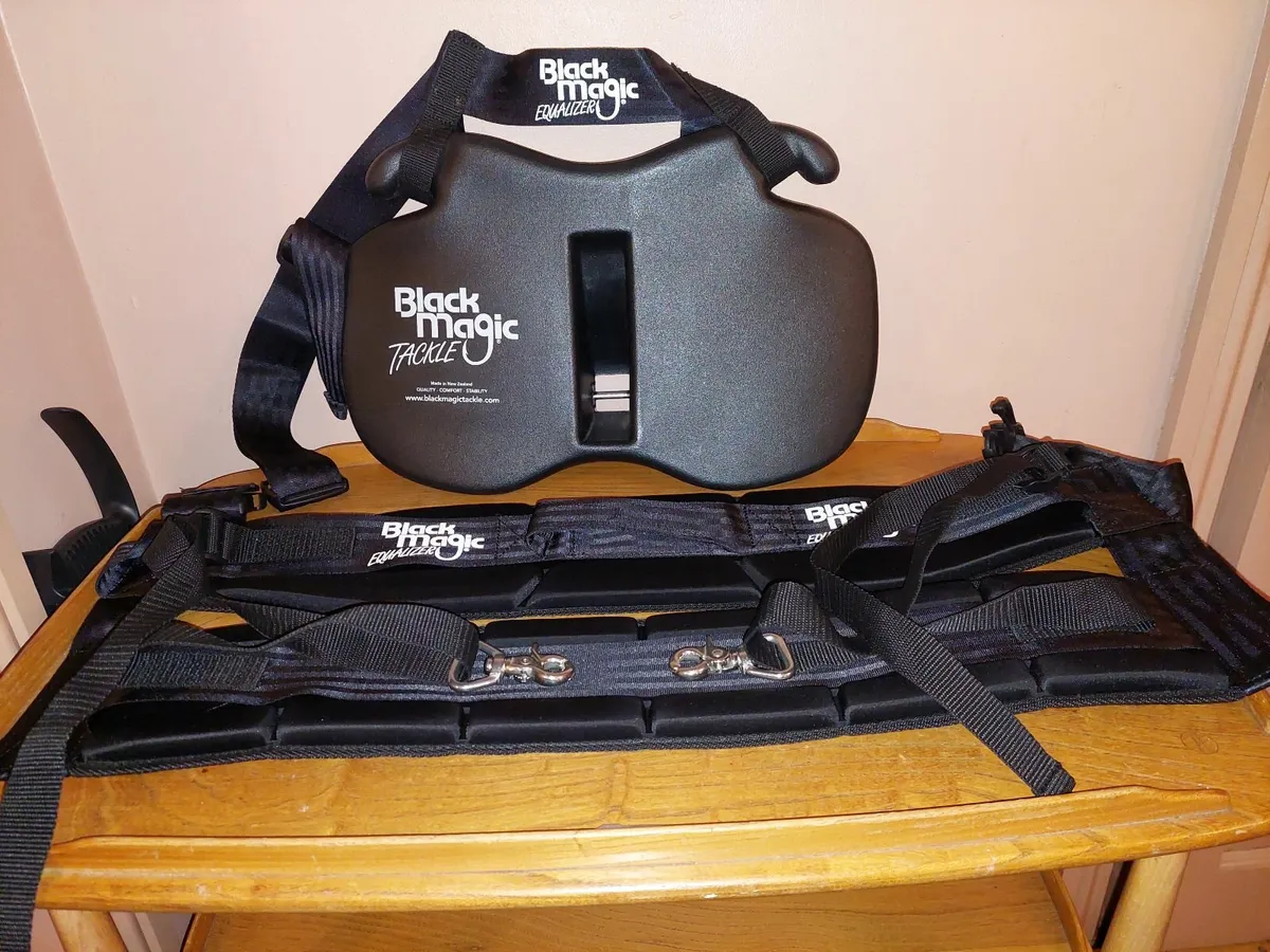 Gimbal and Harness - Image 4