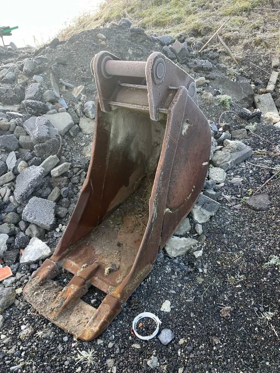 Yard clearance - Image 1