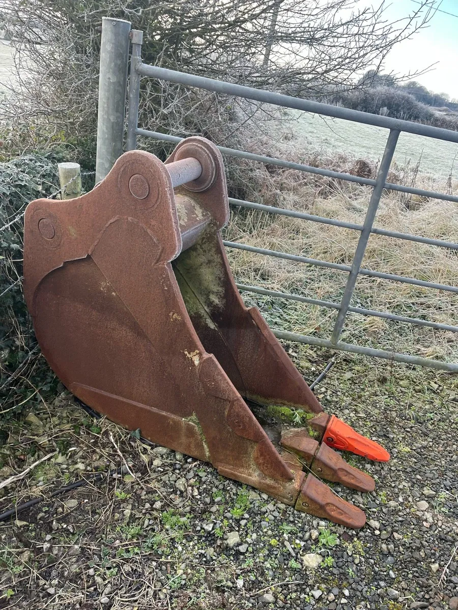 Yard clearance - Image 2