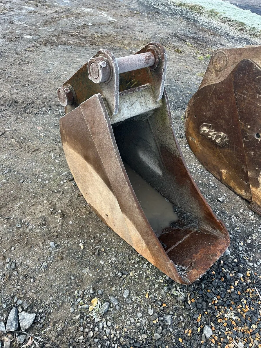 Yard clearance - Image 3