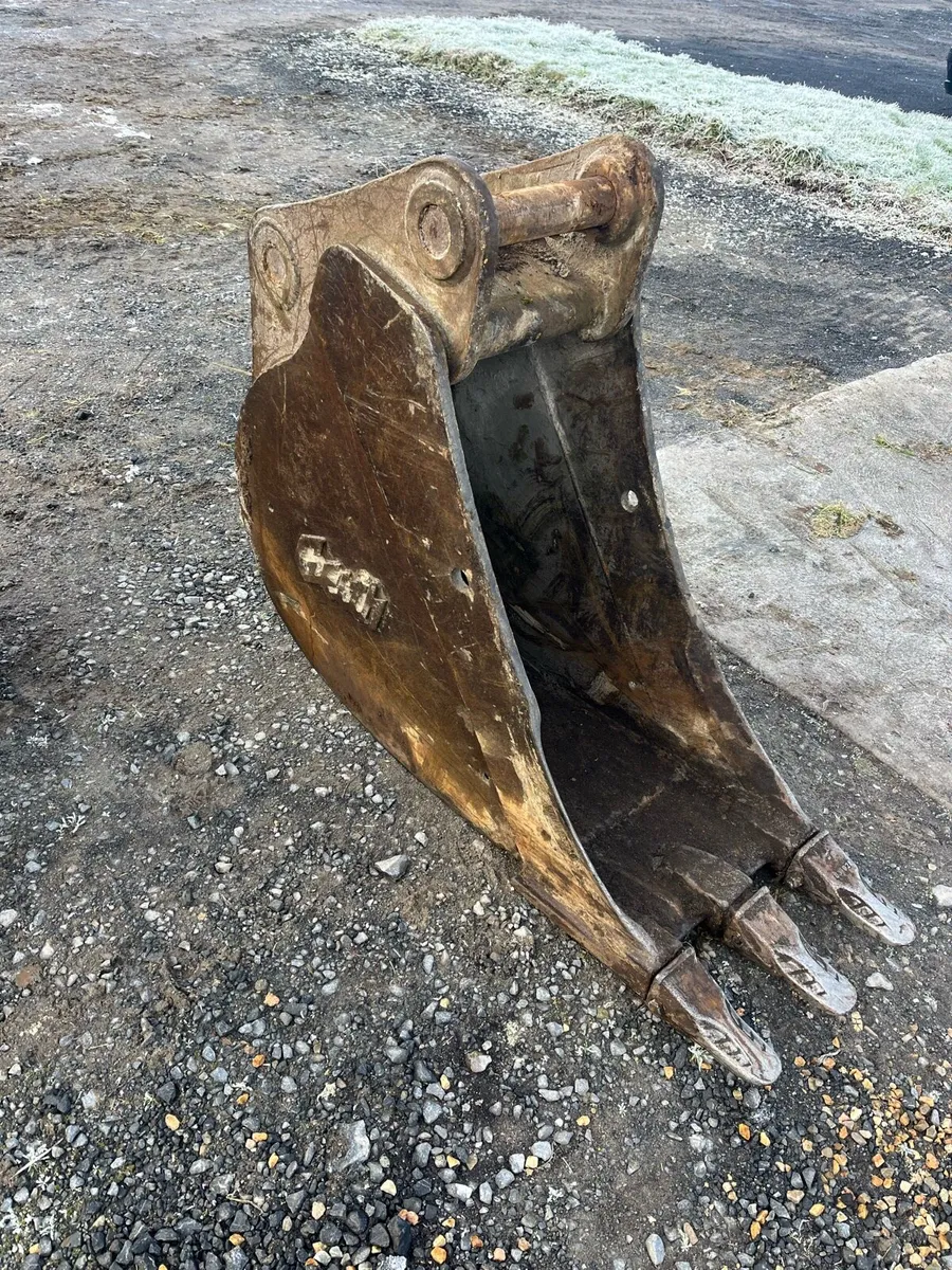 Yard clearance - Image 4