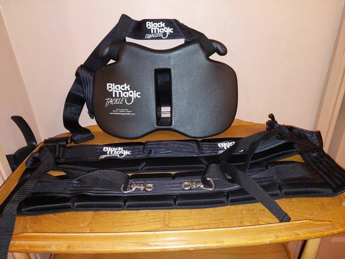 Gimbal and Harness - Image 2