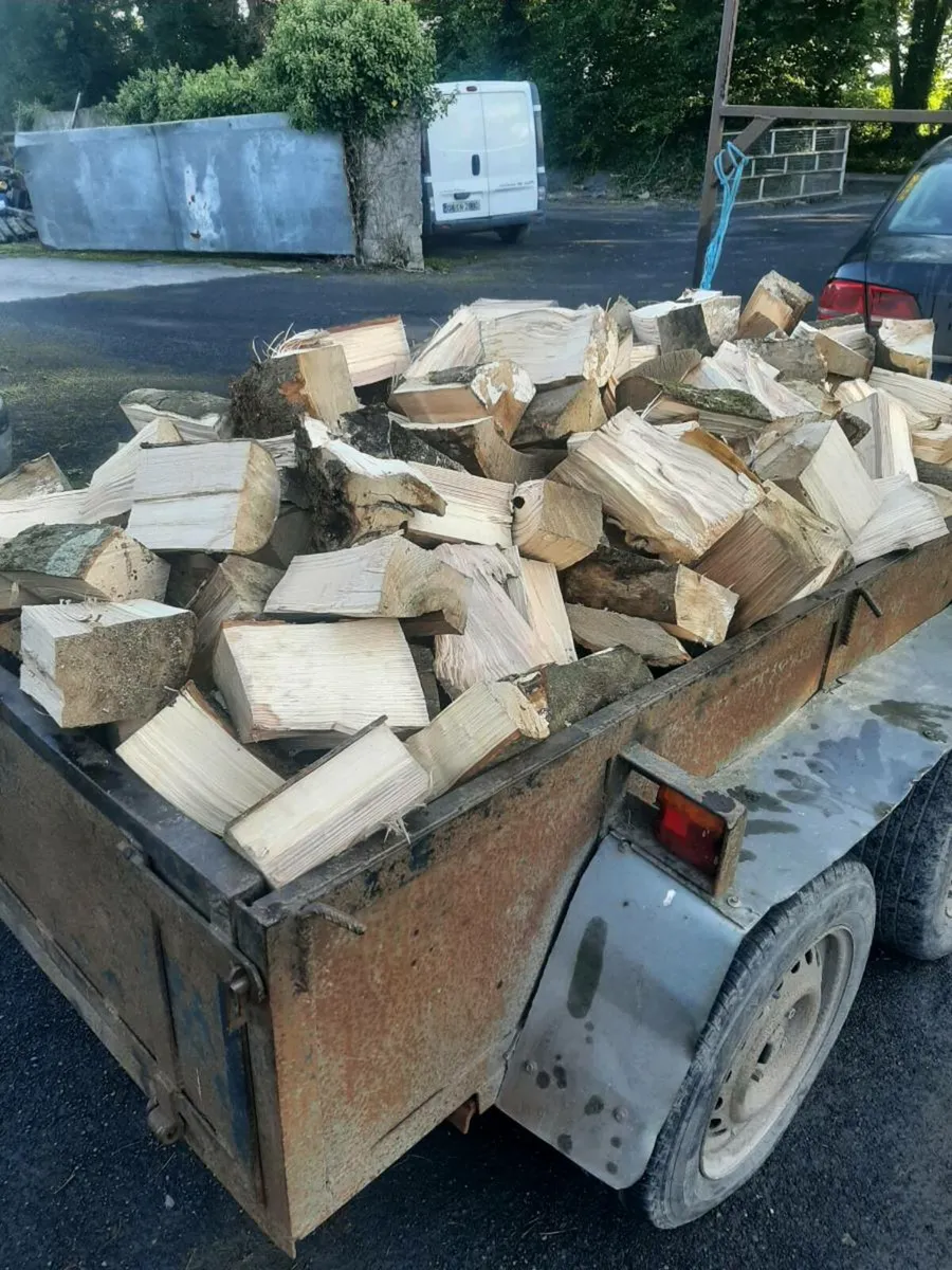 Firewood - Image 3