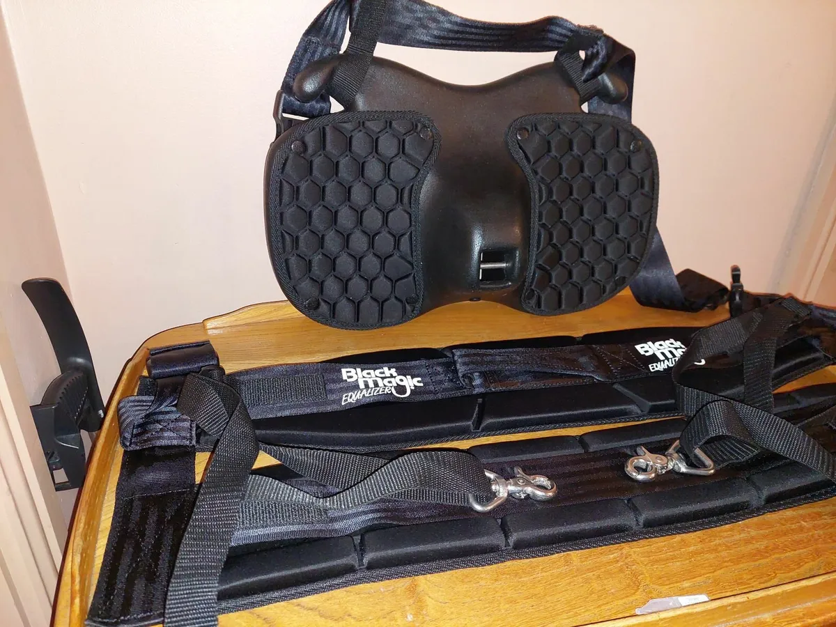 Gimbal and Harness - Image 3