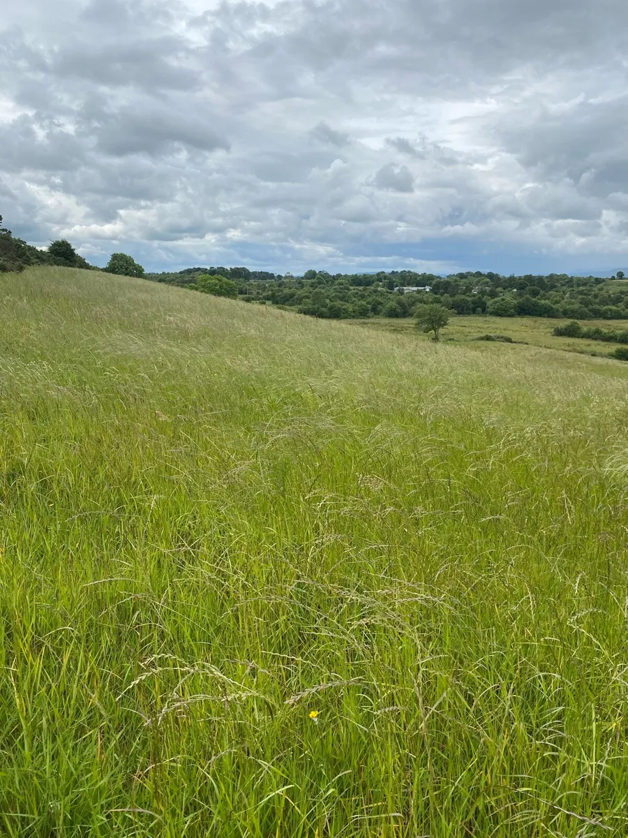 Straw for sale & round bales of silage - Image 4