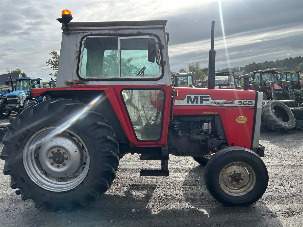 1982 Massey Ferguson 565 2wd - Image 4