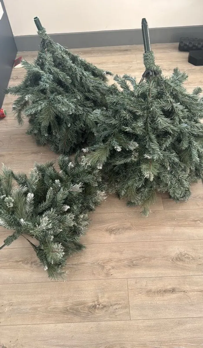 Green Christmas tree for sale - Image 2