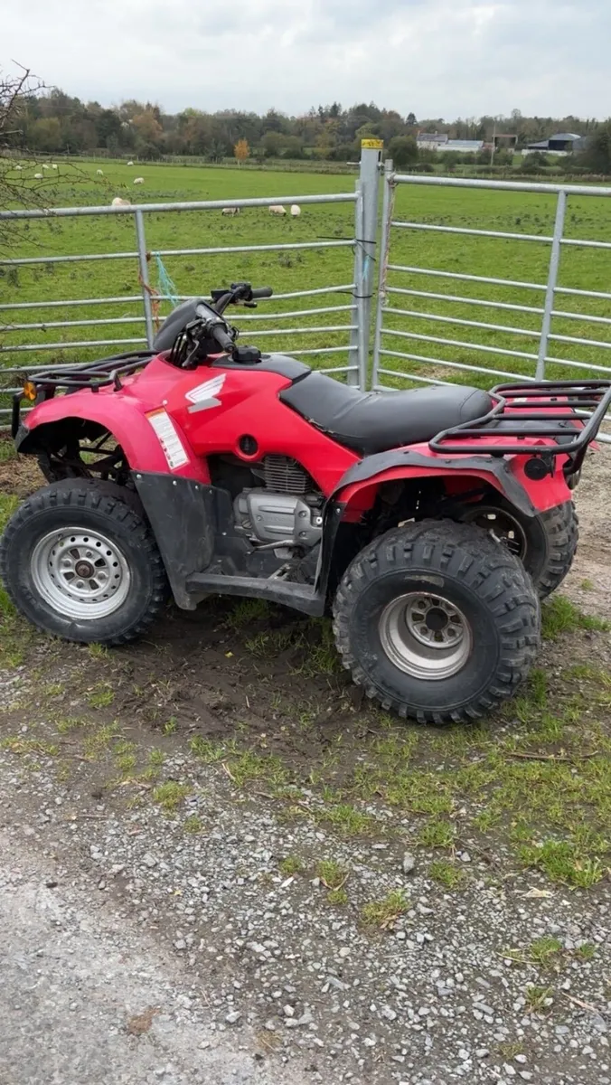 Honda trx 250 - Image 1