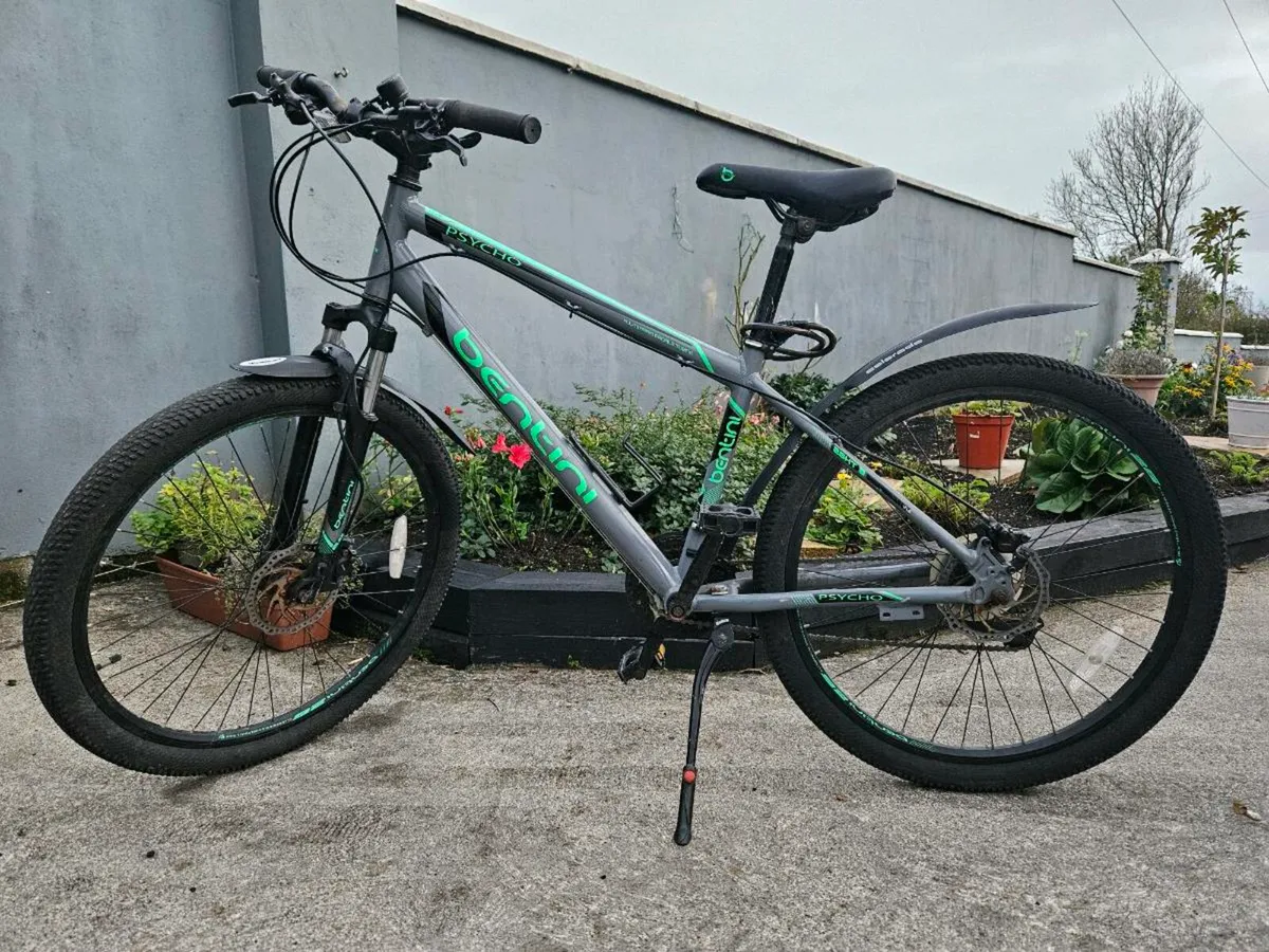 Bentini Mountain Bike - Image 1