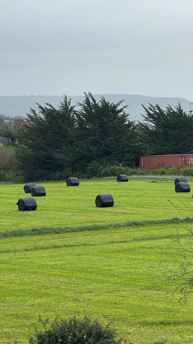 Silage Bales - 89 - New grass third cut - Image 3