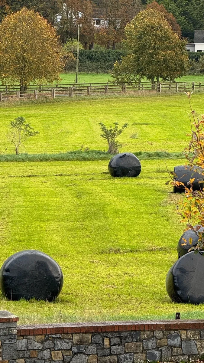 Silage Bales - 89 - New grass third cut - Image 4