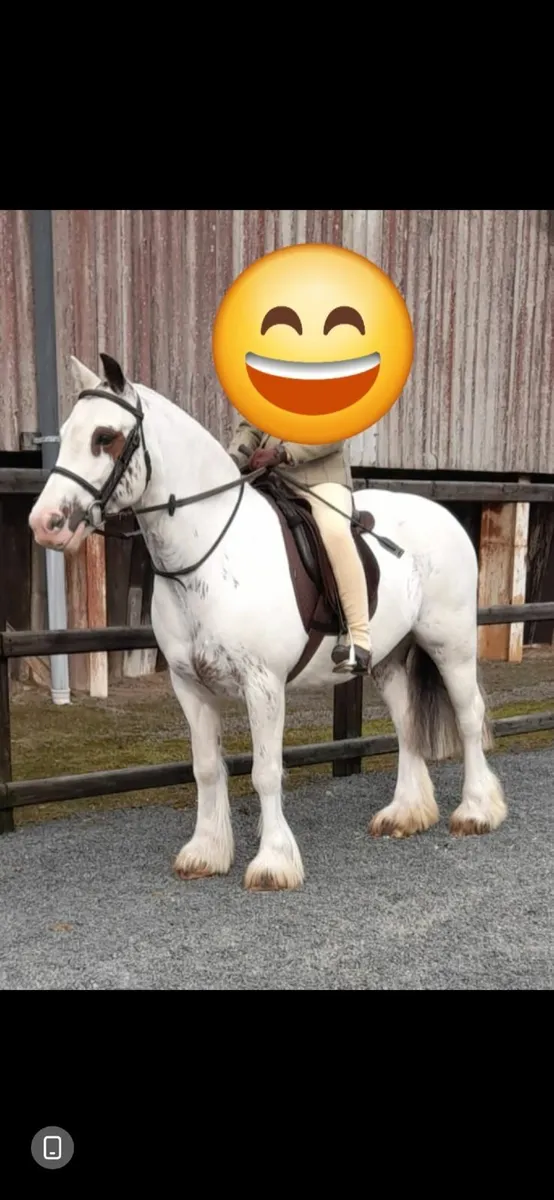 Pony - Image 1