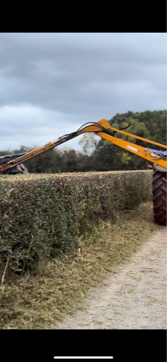 Hedge cutting - Image 1