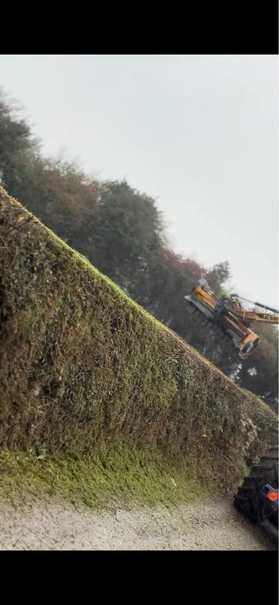 Hedge cutting - Image 2