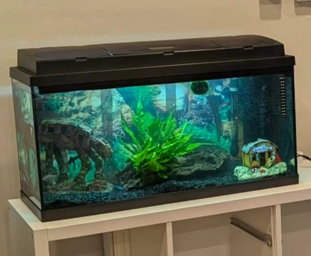 93 L Aquarium with filter and heater - Image 3