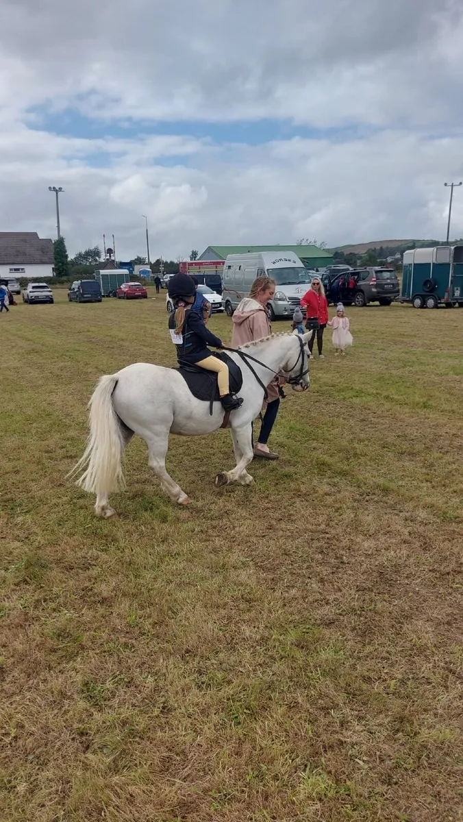 Pony for loan - Image 3