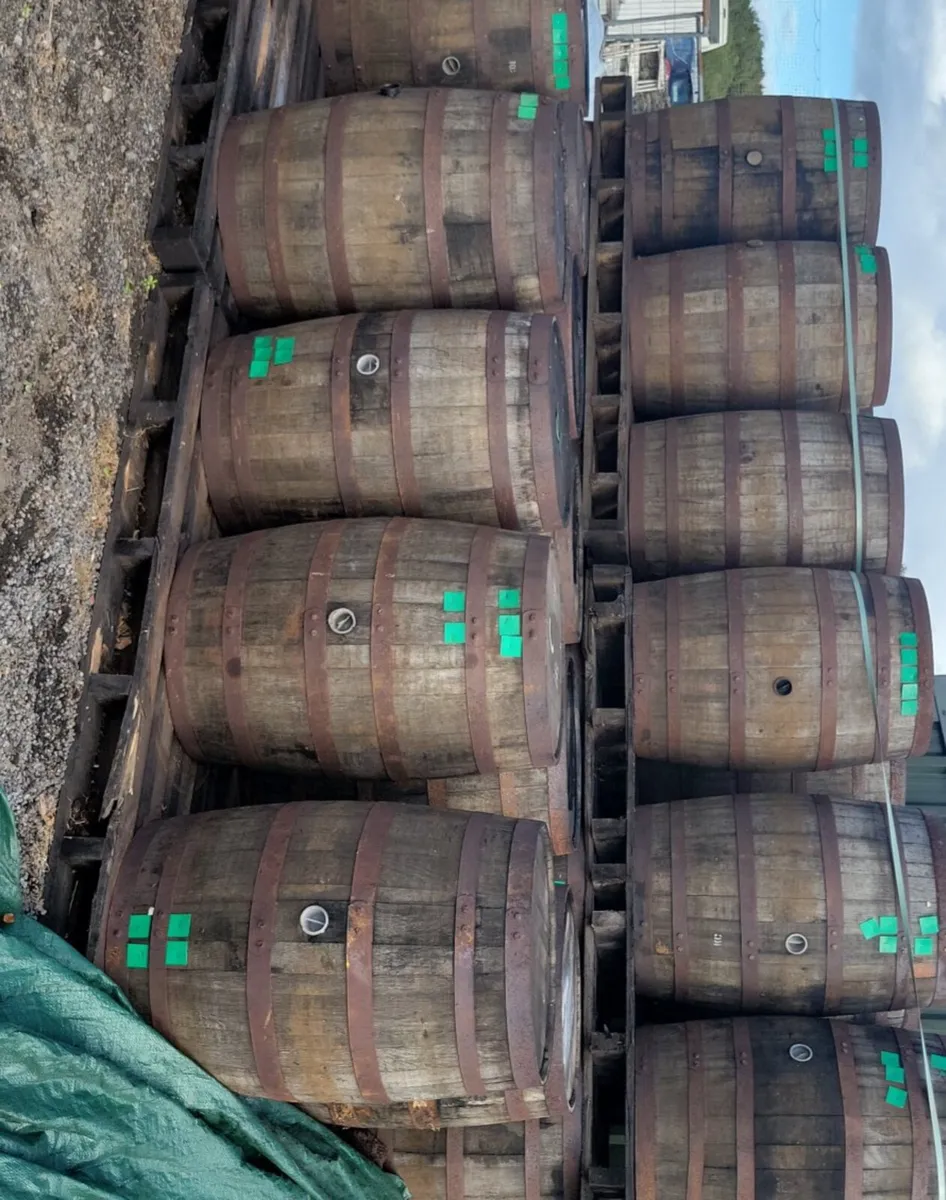 Whiskey Barrels and planters - Image 1