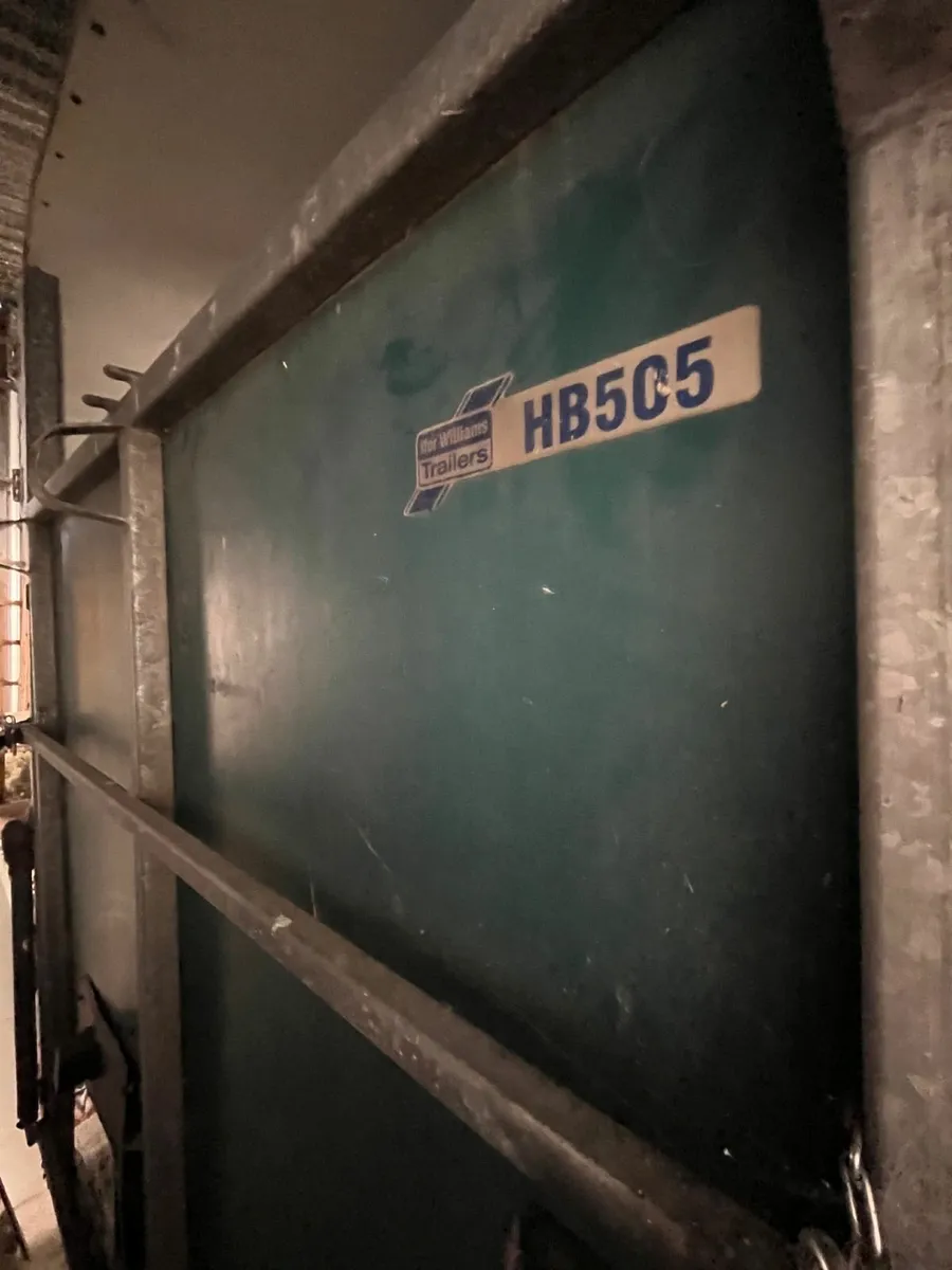 Ifor Williams 505 Horsebox for Sale in Tipperary - Image 3