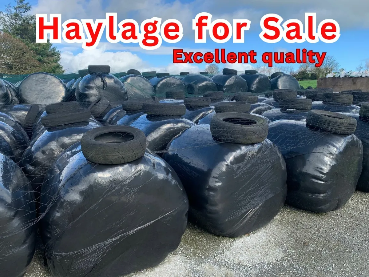 Excellent Quality Haylage near Macroom - Image 1