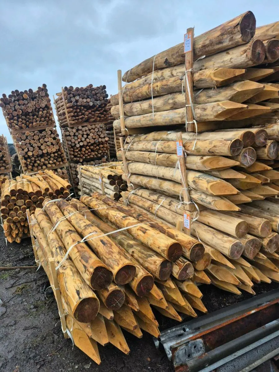 Robinia Hardwood Fencing Posts - Image 1
