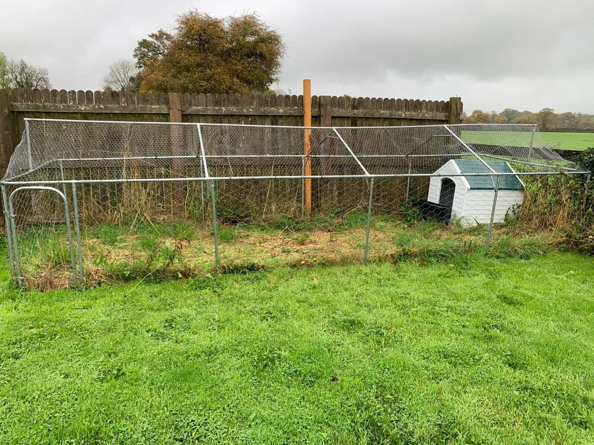 Dog Pen - Image 1